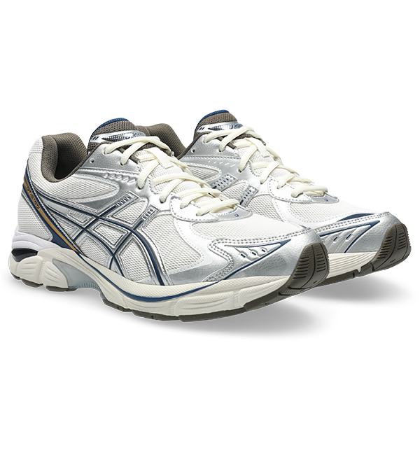 1203A320 - Asics GT-2160 Men Shoes